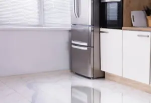 Freezer-Leaking-Repair-300x206
